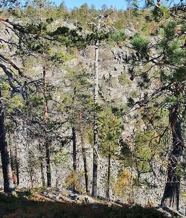 Chalet Esteri Pyhatunturi