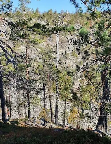 Dağ evi Esteri Pyhätunturi