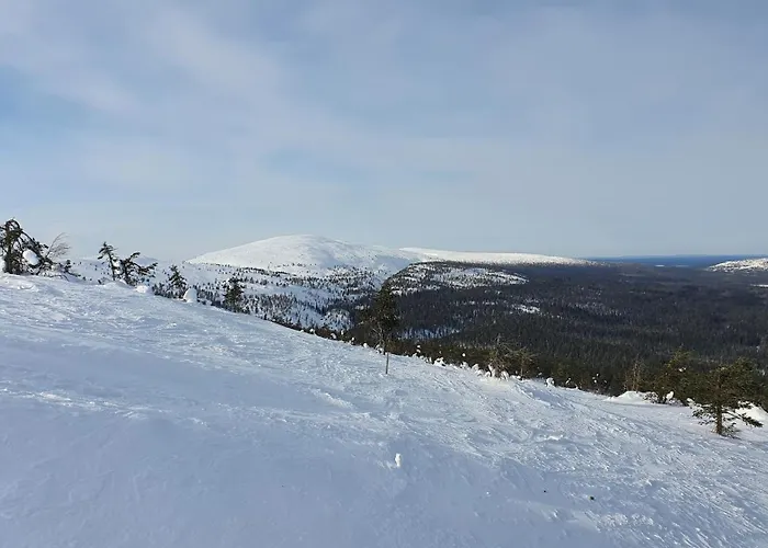 Dağ evi Esteri Pyhätunturi